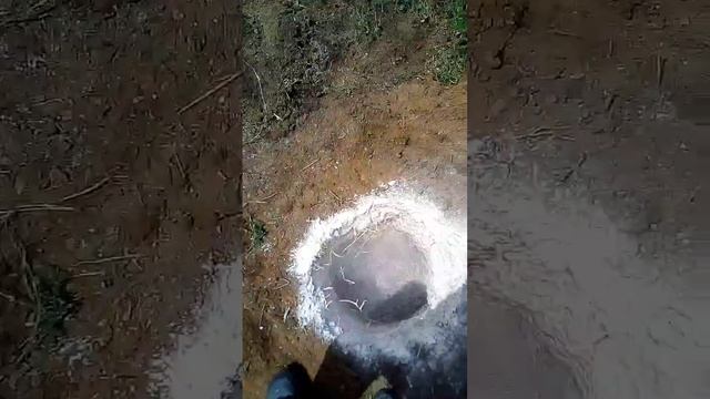 Como plantar frutífera em terra fraca e com pedras! смотреть онлайн