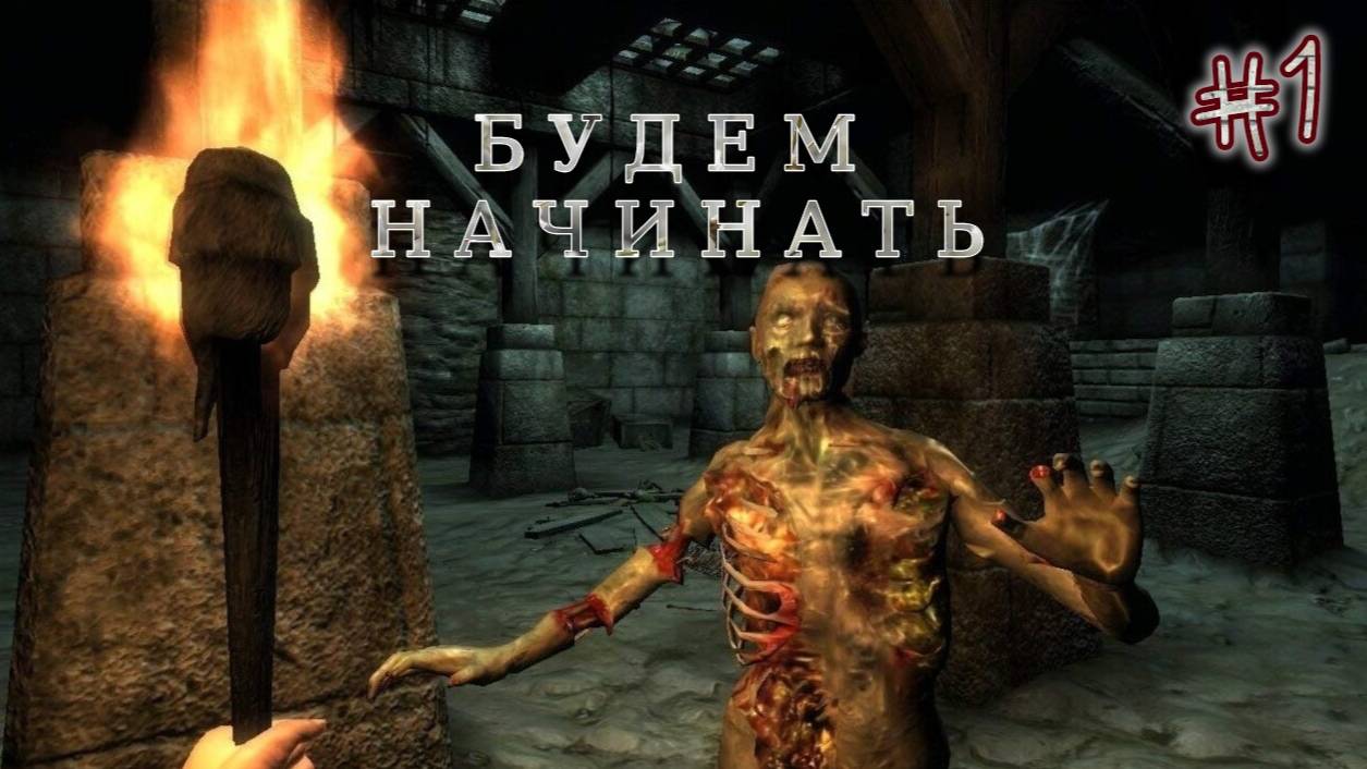 Играем в TES:OBLIVION﹥[Начало]