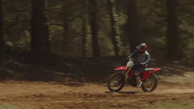 Overview: Stark Varg Test