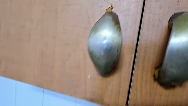 СНИМАЕМ КВАРТИРУ|СТРАШНЫЕ И ПРИЛИЧНЫЕ КВАРТИРЫ смотреть онлайн