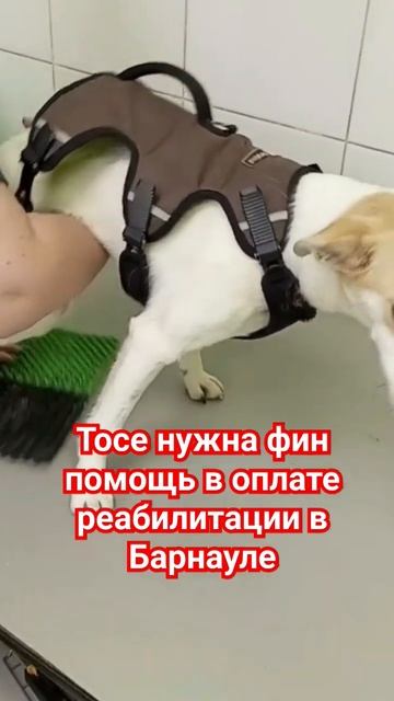 23 мая 2024 г. смотреть онлайн