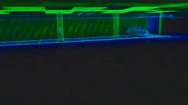 Display of SLAM 100 handheld radar scanning results смотреть онлайн