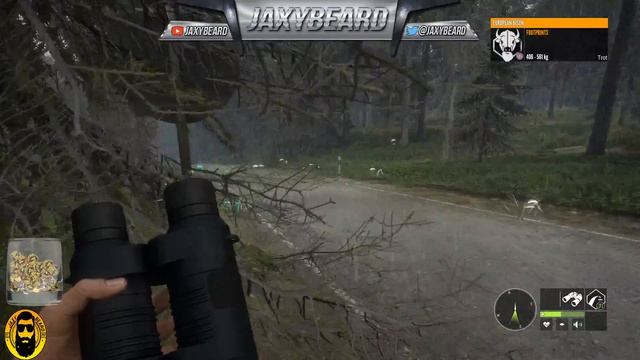 45-70 VS Bison in theHunter Call of the Wild! смотреть онлайн