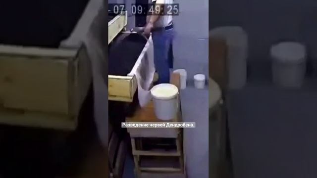 Будни вермера.2 часть. смотреть онлайн