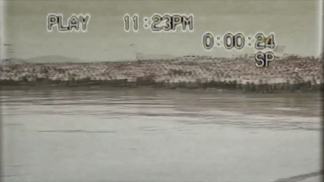 Ｃｏｍｒａｄｅ Ｊｕｃｈｅ 주체 동지 | Vaporwave | Juchewave |