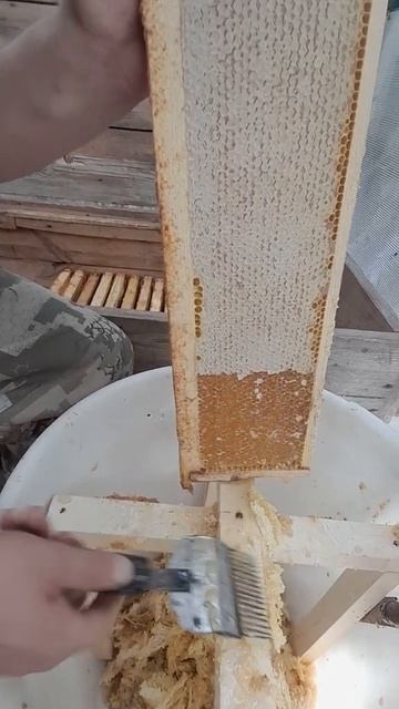 Больше "витамин" #bee смотреть онлайн