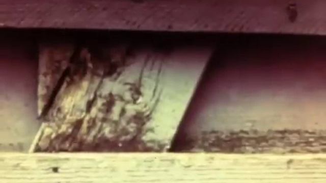"Der Zaun" - "..Waagerechte Stäbe kommen nicht in Frage.. " Music by Rainer Kühn смотреть онлайн