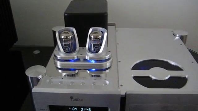 Magnepan / Magneplanar 1.6 QR + DK Designs Hybrid Amp