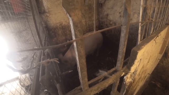 Закурило_замело.!! ОДИН ДЕНЬ З МОГО ЖИТТЯ/ що я роблю зранку і до вечора... смотреть онлайн