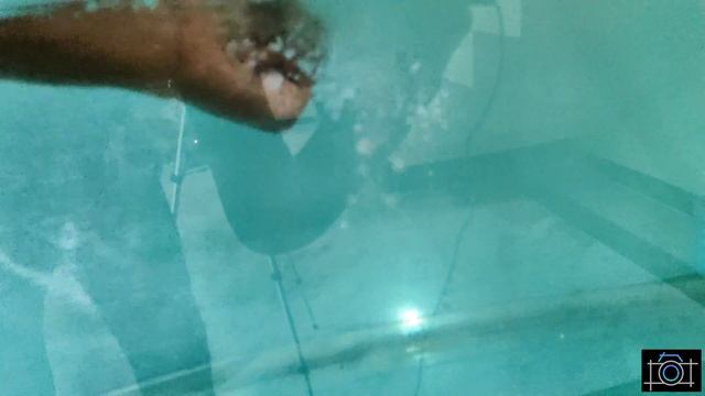 fish tank cleaning in tamil | மீன் தொட்டி சுத்தம் செய்வது எப்படி ? смотреть онлайн
