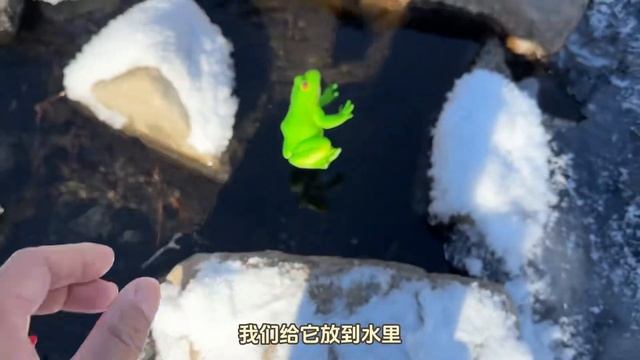 水里捡到漂流的盒子 发现小学生生日礼物心奇爆龙战车X3积木人 смотреть онлайн