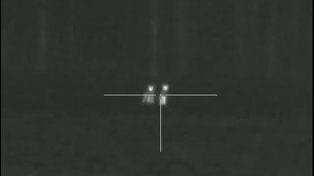 Double Coyote Kill - Pulsar Trail XP 38 (UnderDogs) смотреть онлайн