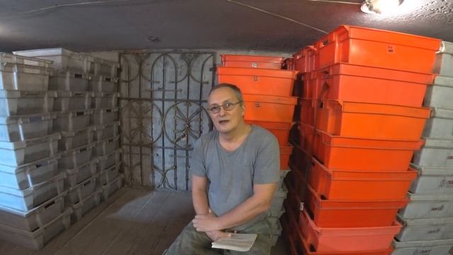 Разведение Дендробены . Советы для начинающих и не только... . смотреть онлайн