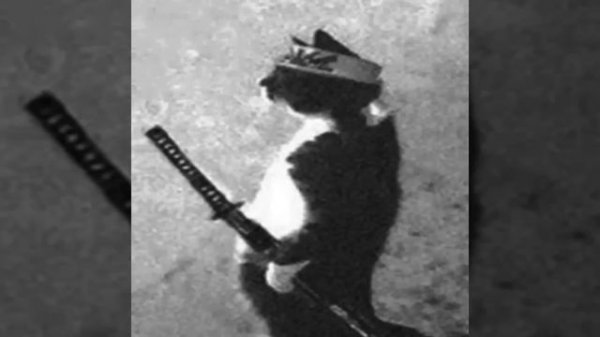 [1 hour] PROTECTION CHARM (Slowed+Reverb)