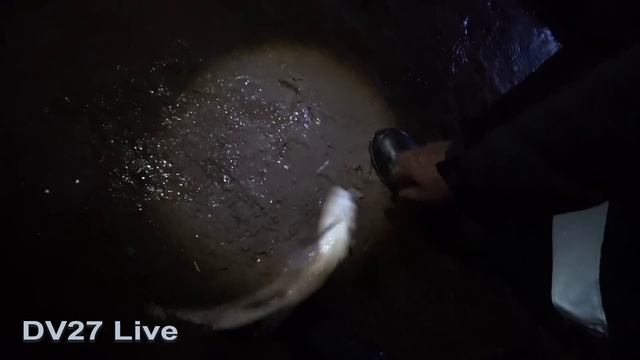 НА КОСЕ АМУРСКОЙ - ЛОВИМ СИГА. смотреть онлайн