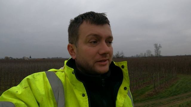 Koniec przygody z sadami !! Kasuję połowę kwater.....stawki za cięcie zimowe 2023 смотреть онлайн