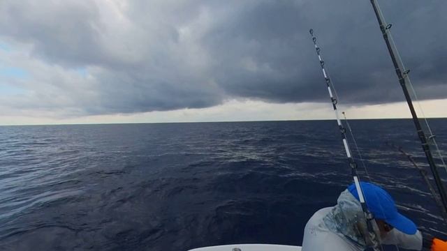 VR 360 | Amazing Costa Rica Deep Sea Fishing | Caught me a marlin! смотреть онлайн