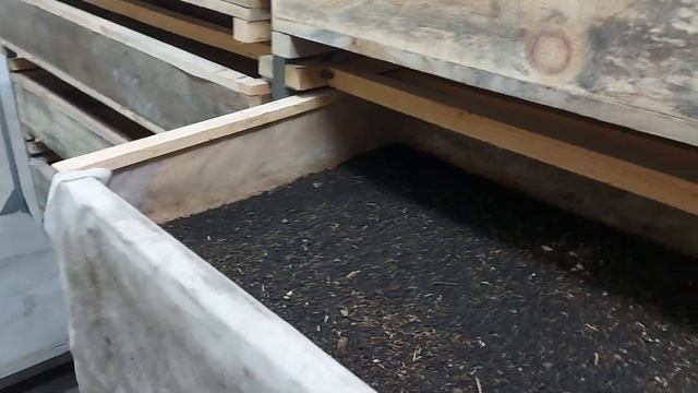 Халявные Дендробята. смотреть онлайн