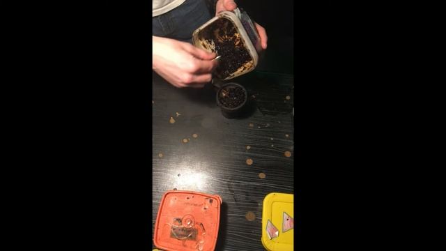 Необычный вкус смотреть онлайн