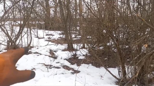 Металл копается ДАЖЕ в посадках!!! смотреть онлайн