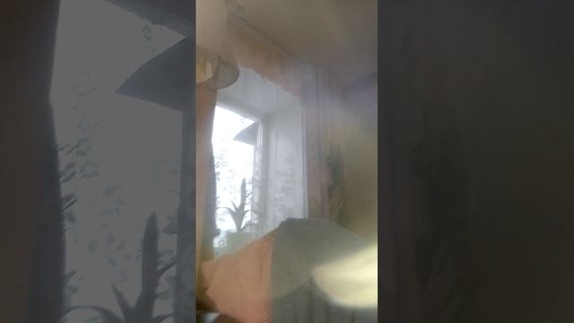 бандитка смотреть онлайн