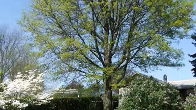 321 S. 23rd Street, Lebanon, PA 17042 смотреть онлайн