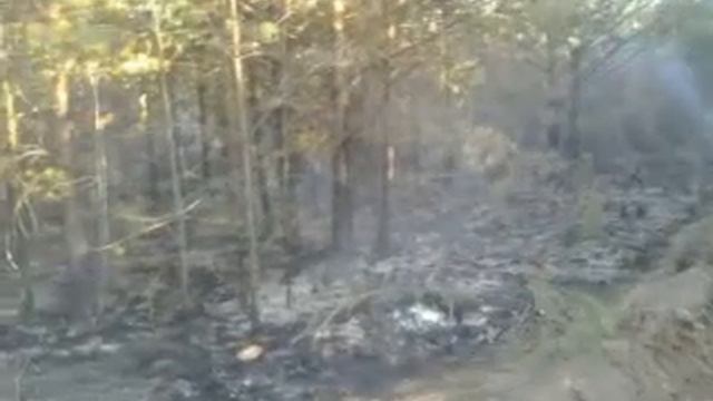 После пожара в Раковом лесу 2015 г. смотреть онлайн