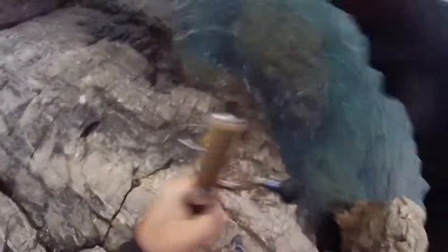 Barracuda on top water Jackfin Stylo210 смотреть онлайн