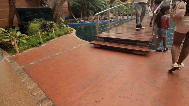 🌟Visitando la Isla de Margarita nuevamente🌟 🎊ESPECIAL 500 SUSCRIPTORES🎊 смотреть онлайн