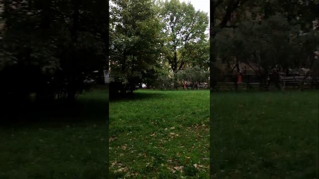 поездка в город Санкт-Петербург 10-летие компании новая эра смотреть онлайн