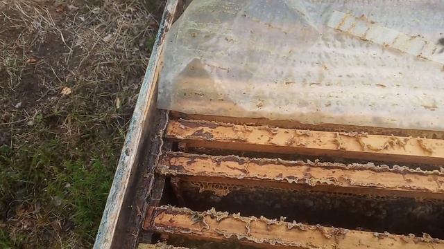 Как с мёдом и расплодом на конец августа ? смотреть онлайн