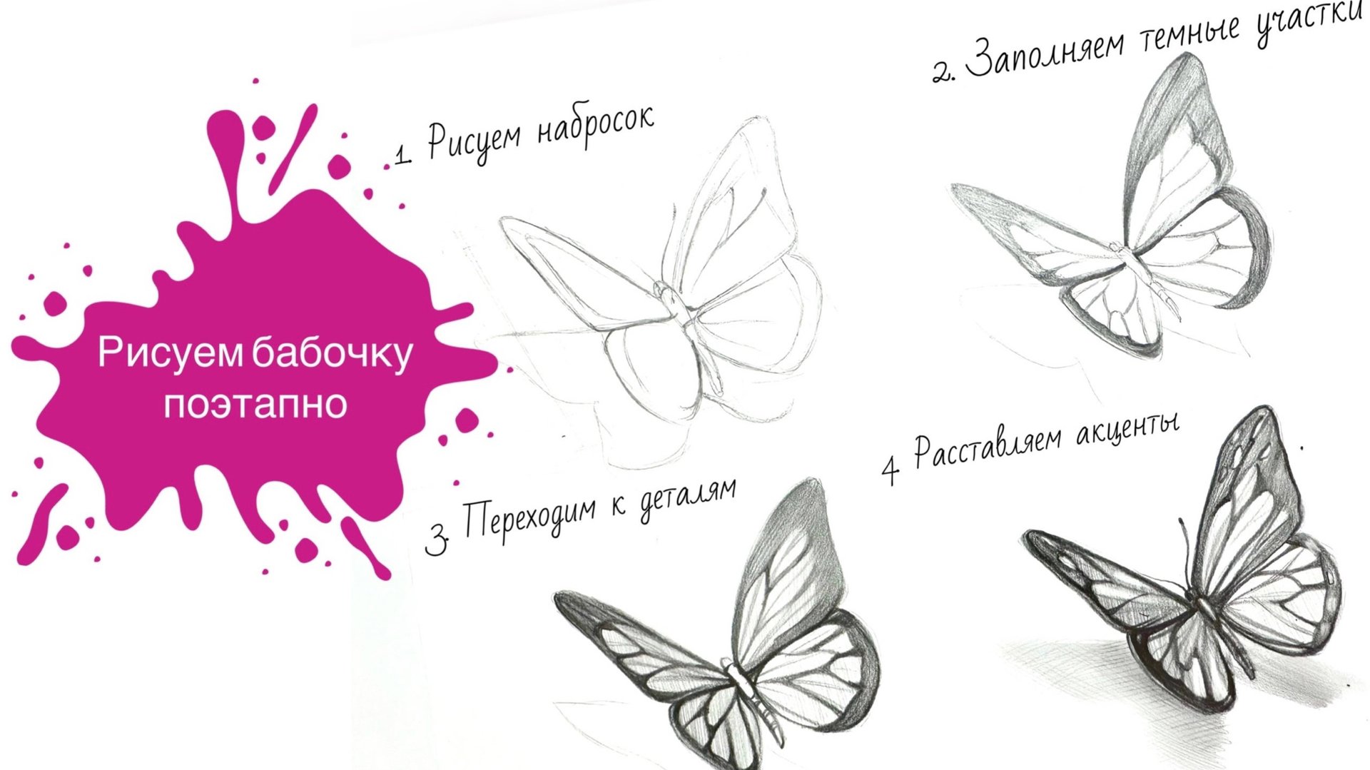 Рисуем бабочку в графике поэтапно. Урок пошаговый для начинающих 🦋 смотреть онлайн