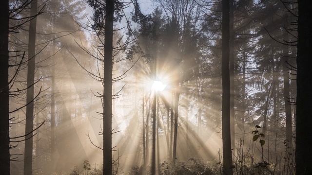 Gwydion | Celtic Pagan Music | Magical And Relaxing