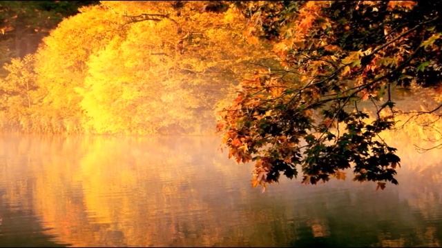 Слайд-фильм "Паузы на счастье " музыка и исполнение - Галина Айзендорф стихи Игорь Никитин. смотреть онлайн