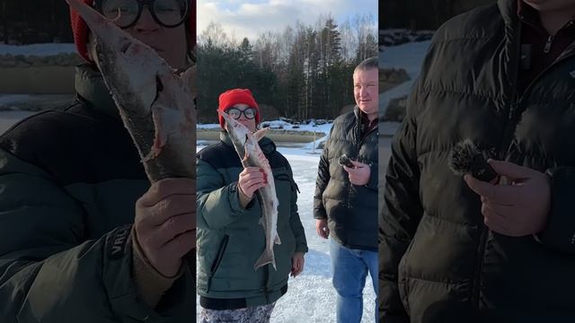 Отзыв о зимней рыбалке в загородном клубе Ихтиолог. смотреть онлайн