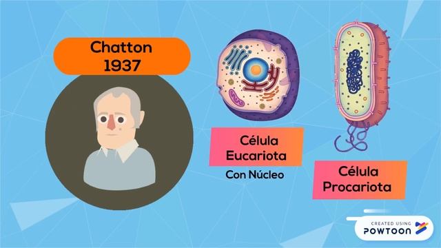 Historia de la clasificación de los seres vivos смотреть онлайн