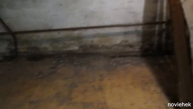 Разведение червей. Дендробена. Обустройство "нового" помещения. смотреть онлайн