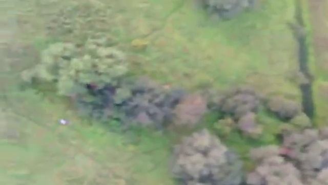 Слойка вид из под крыла 1 смотреть онлайн