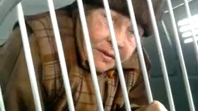 со 2 минуты я просто умер со смеху.flv смотреть онлайн