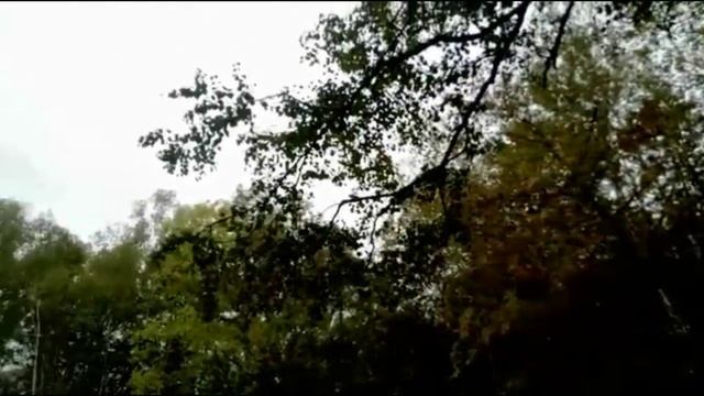 осень в парке смотреть онлайн