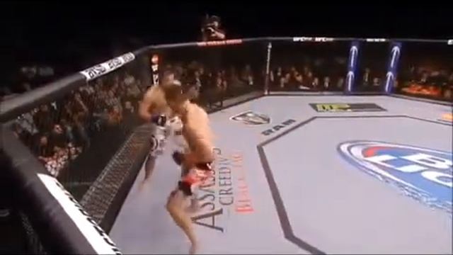 Обзор боев Хабиб Нурмагомедов UFC смотреть онлайн