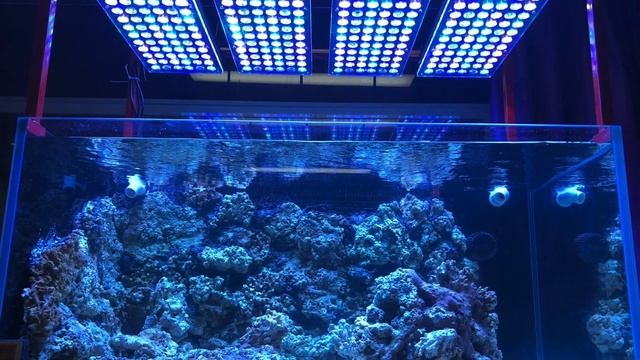 Orphek Atlantik V4 The Best LED Aquarium Lighting смотреть онлайн