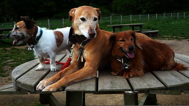 Хорошие русские хиты музыки и фото 2015 смотреть онлайн