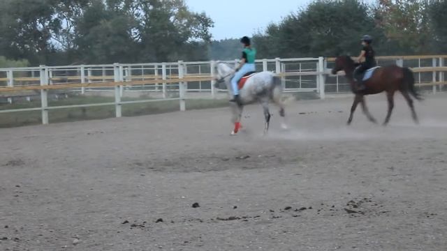 Тренировка на Глэтвине смотреть онлайн