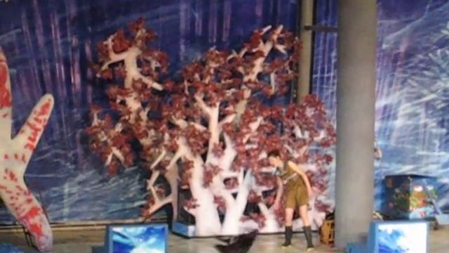 ChangFeng Park Seaworld Show смотреть онлайн