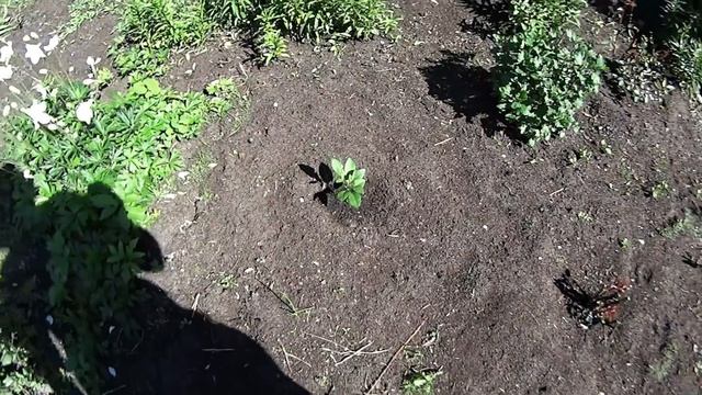 Встретилась со зрительницей Что я сделала с подарками смотреть онлайн