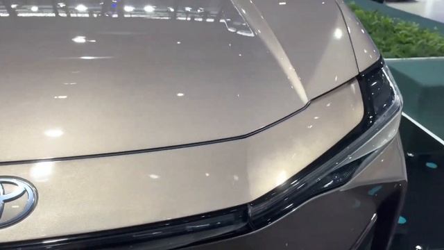 BYD, Tesla, Nio, Xpeng, Li Auto, Removed Joint Pledge for reasonable pricing after 2 days смотреть онлайн