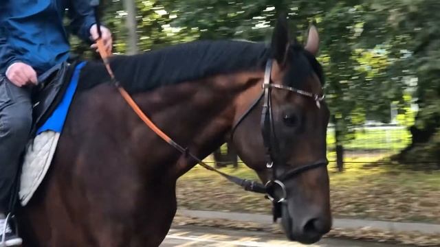 Напряжение перед скачками на ЦМИ возрастает смотреть онлайн