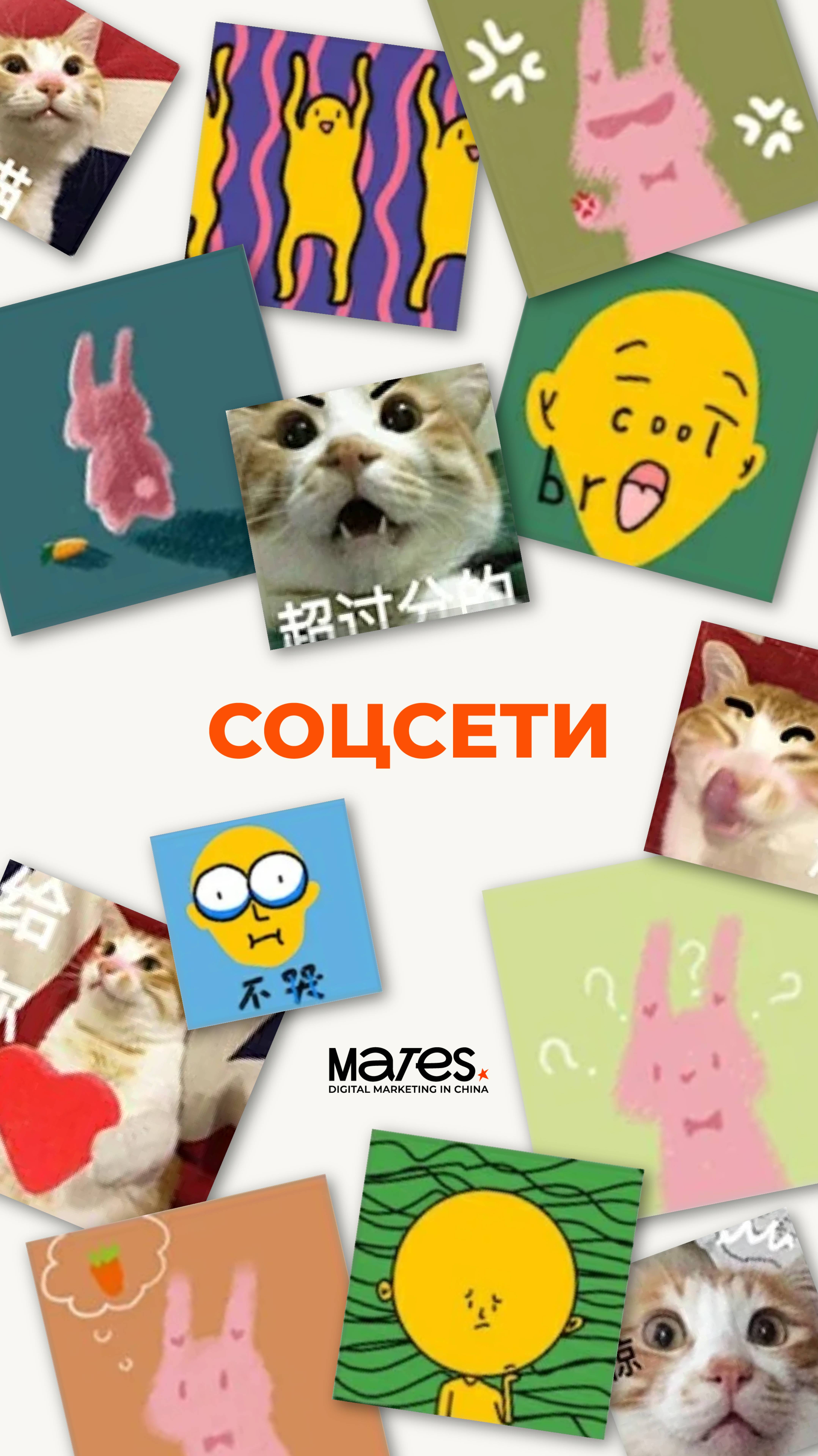 А вы знали, что в WeChat есть поиск по стикерам?