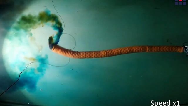 Engineers devise a modular system to produce efficient, scalable aquabots смотреть онлайн